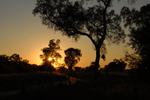 Sonnenaufgang im trockenen Chaco