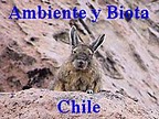 Ambiente y Biota Chile